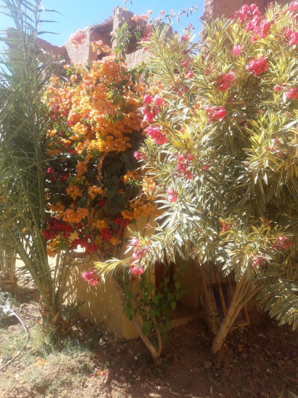 Hotel Kasbah Timidarte Zaouita Bou Lhassane Exteriér fotografie