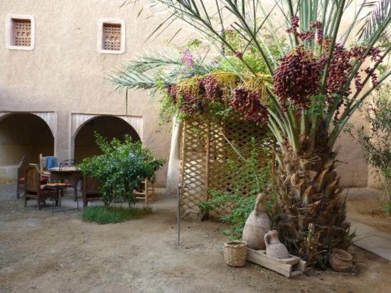 Hotel Kasbah Timidarte Zaouita Bou Lhassane Exteriér fotografie