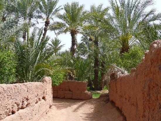 Hotel Kasbah Timidarte Zaouita Bou Lhassane Exteriér fotografie